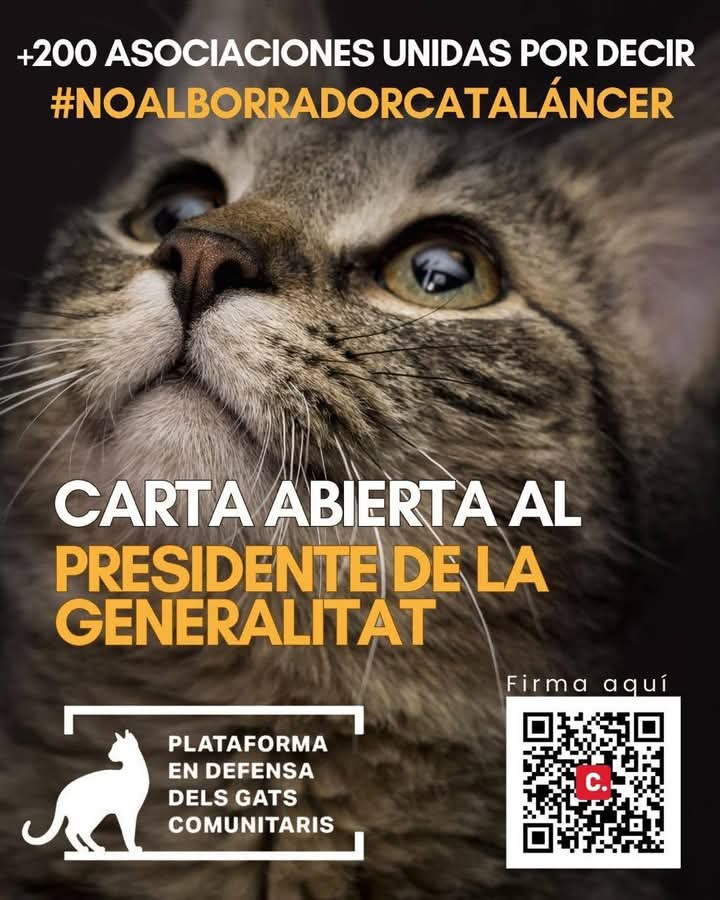 colectivoanimalistabdn tweet media