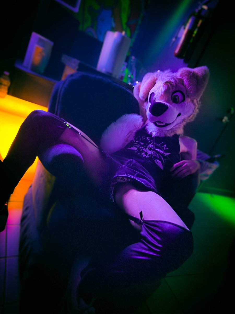 🐶 Streaming tonight (Feb 26th) at 7:30PM EST 🐶

On tonight's episode Custard finds herself at the mercy of a monster~ 💕

Tune in on Twitch for a fursuit chat followed by Vtubing and the thrilling conclusion to Parasite Eve