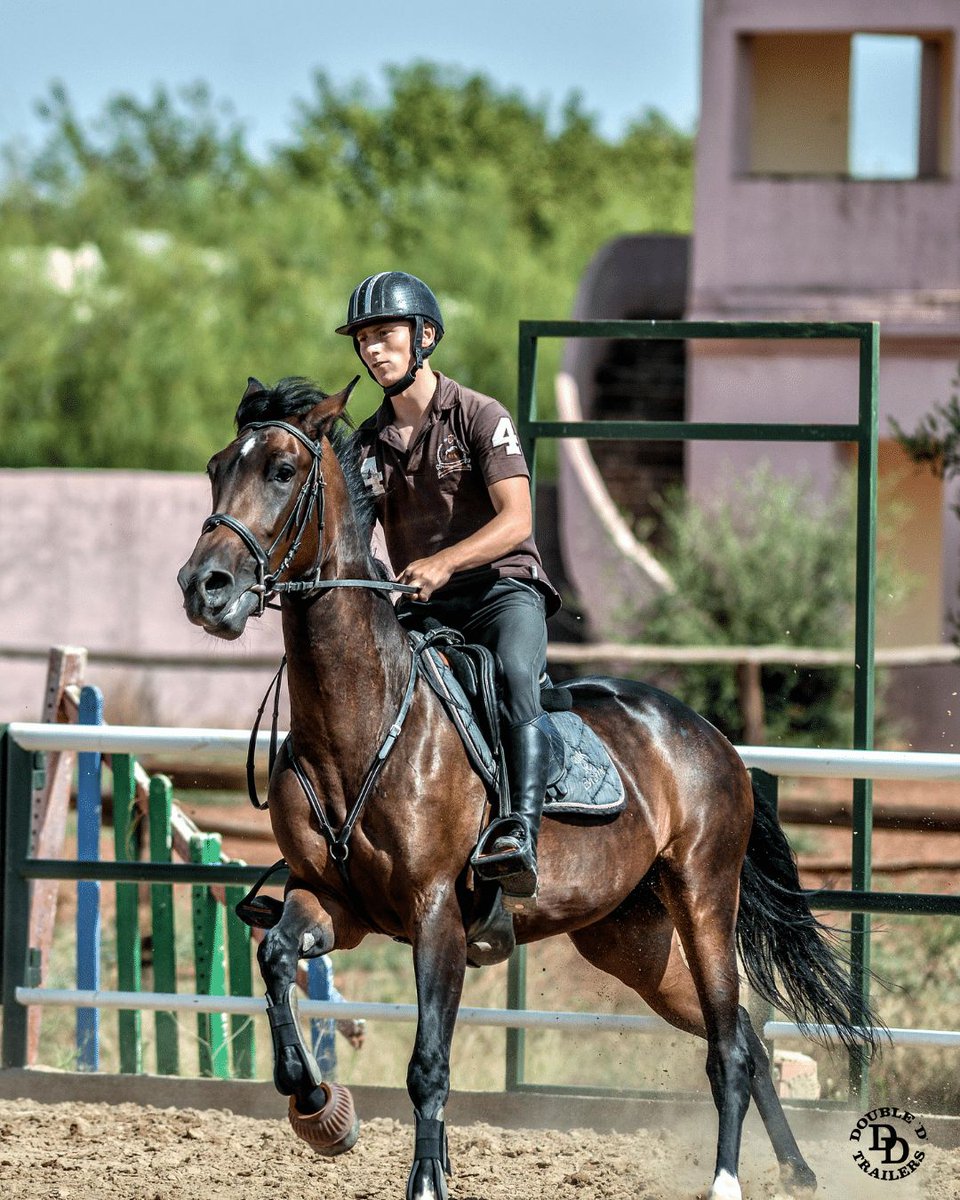 Jockey Gear Essentials: From vibrant silks to safety helmets, jockeys' gear is designed for both function and recognition on the track. Each piece, from whips to boots, is tailored to ensure safety and performance. doubledtrailers.com/horse-jockeys/