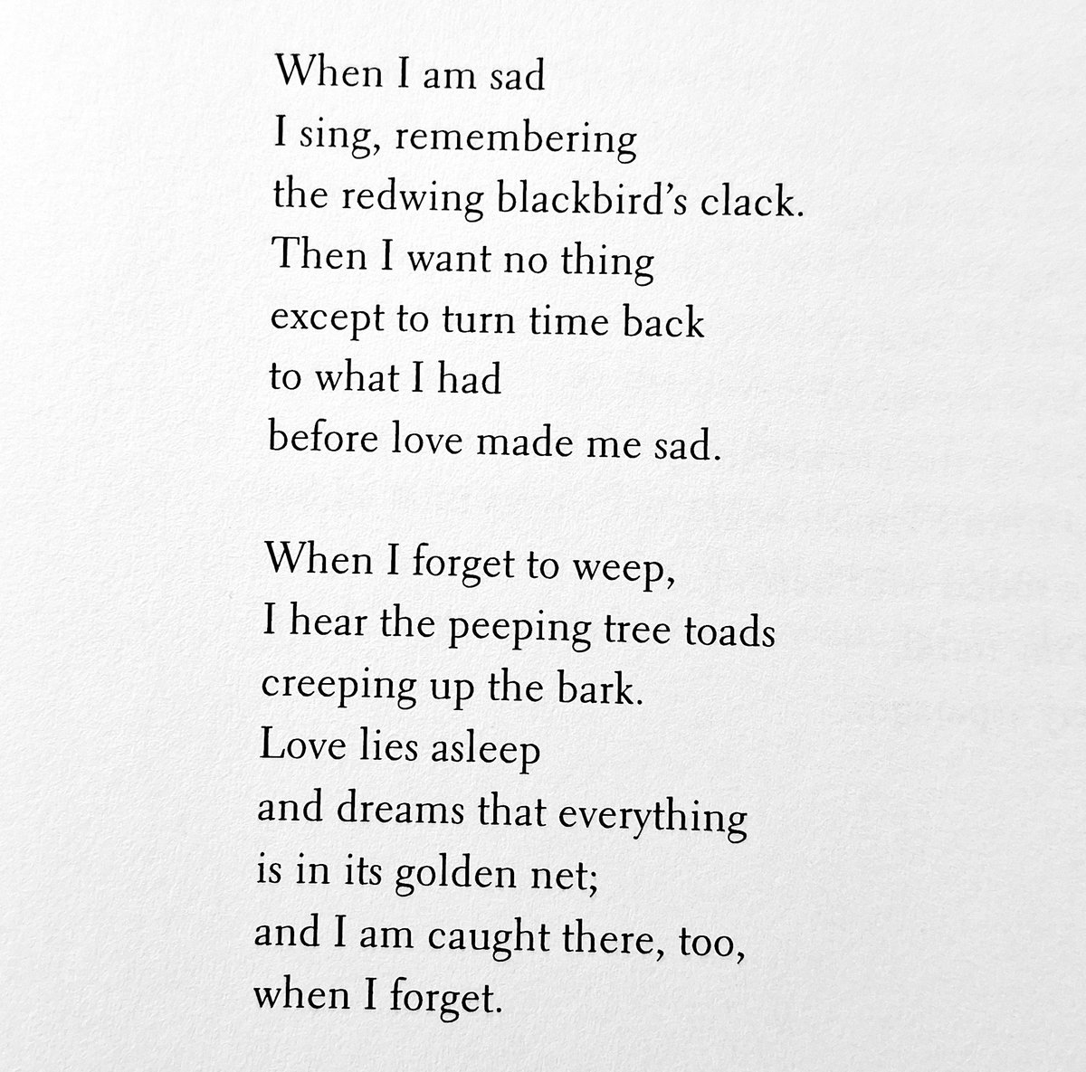 fishwifetales's tweet photo. I don't need to feel my, or any sorrow. This poem feels the sorrow for me. #RuthStone https://t.co/qHdKNyF74X