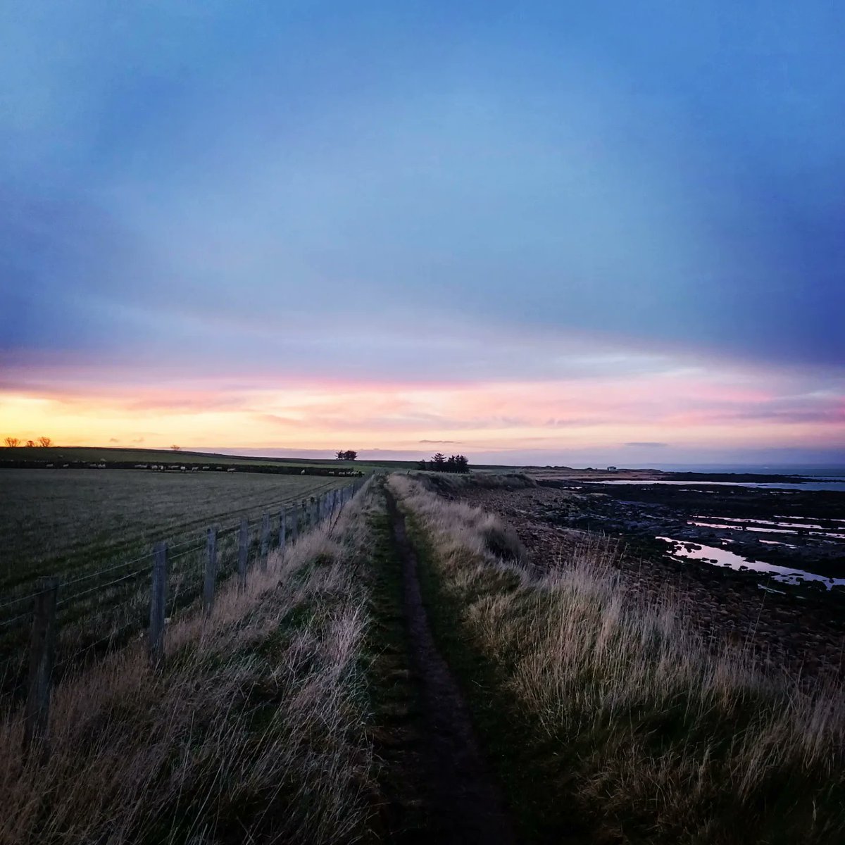 VicGalloway's tweet photo. Fife 4 Life... ❤️ 

#fife #fife4life #fifeforlife #fifers #outforawalk #kenwhatameanken #ken #kenwhatamean #eastneuk #eastneukoffife https://t.co/2ojB8DeJ24