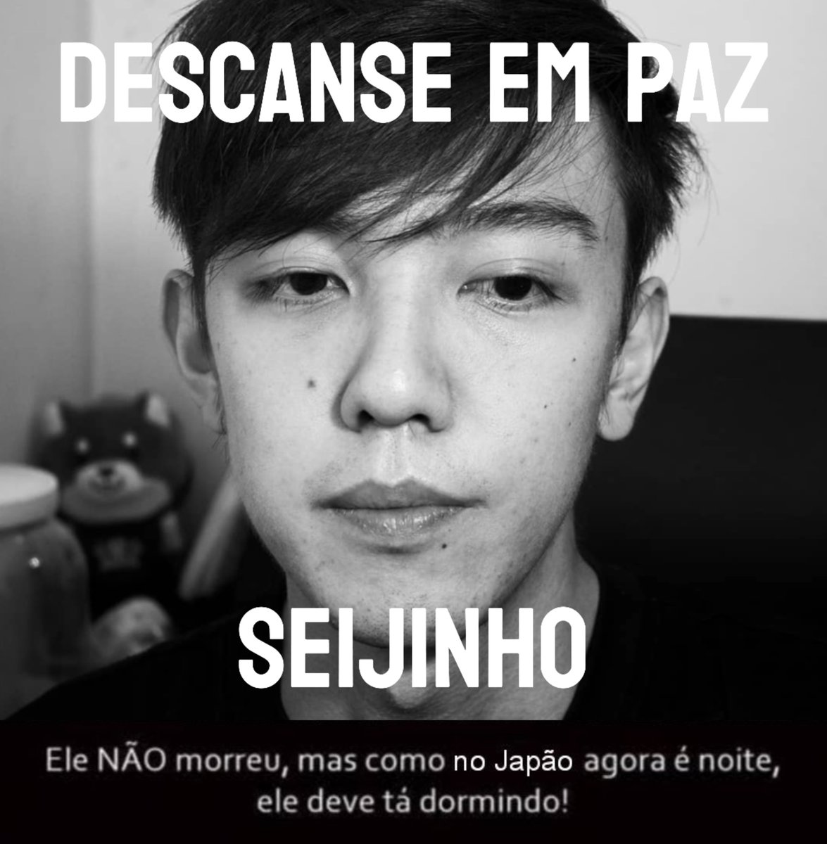 acervoseijinho's tweet photo. https://t.co/KrvywQLsJR