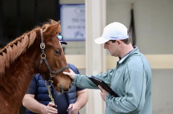 TBRacingInit's tweet image. What’s at stake with Florida’s decoupling bills: $3.24B industry, 33.5K jobs, 87K Thoroughbreds
thoroughbredracinginitiative.com/whats-at-stake…