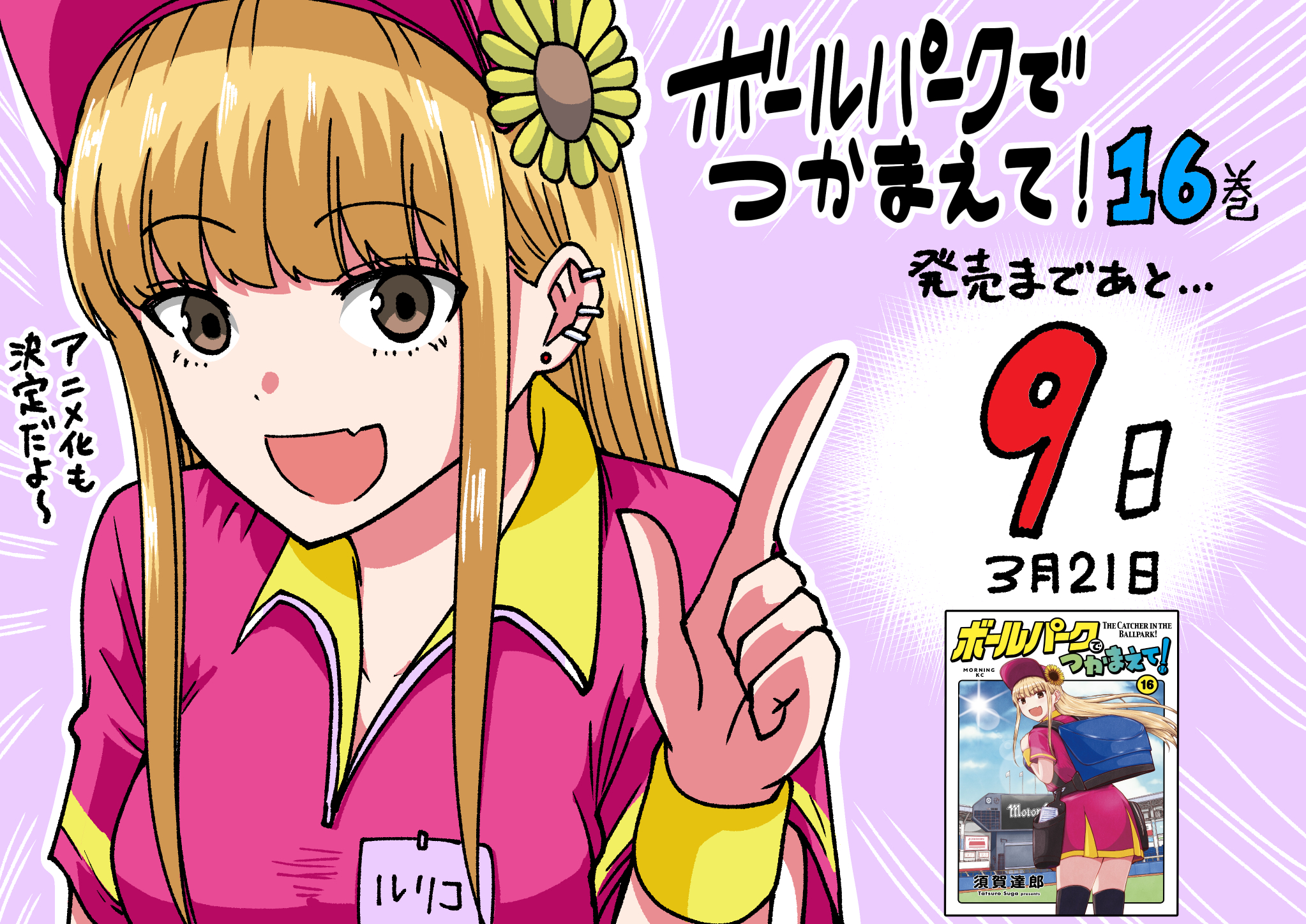 ボールパークでつかまえて!(15) (モーニングKC) | 須賀 達郎 |本