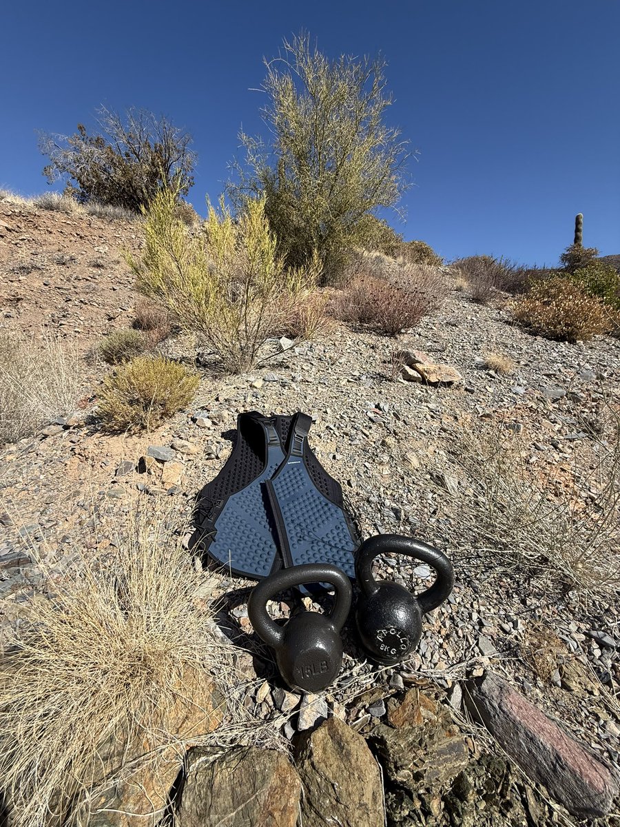 fietstwiets's tweet image. Today’s wake up: 10 lb @omorpho_fit vest, 18 lb kettlebell, 15 lb kettlebell, alternating hands - 1k Sonoran vertical.