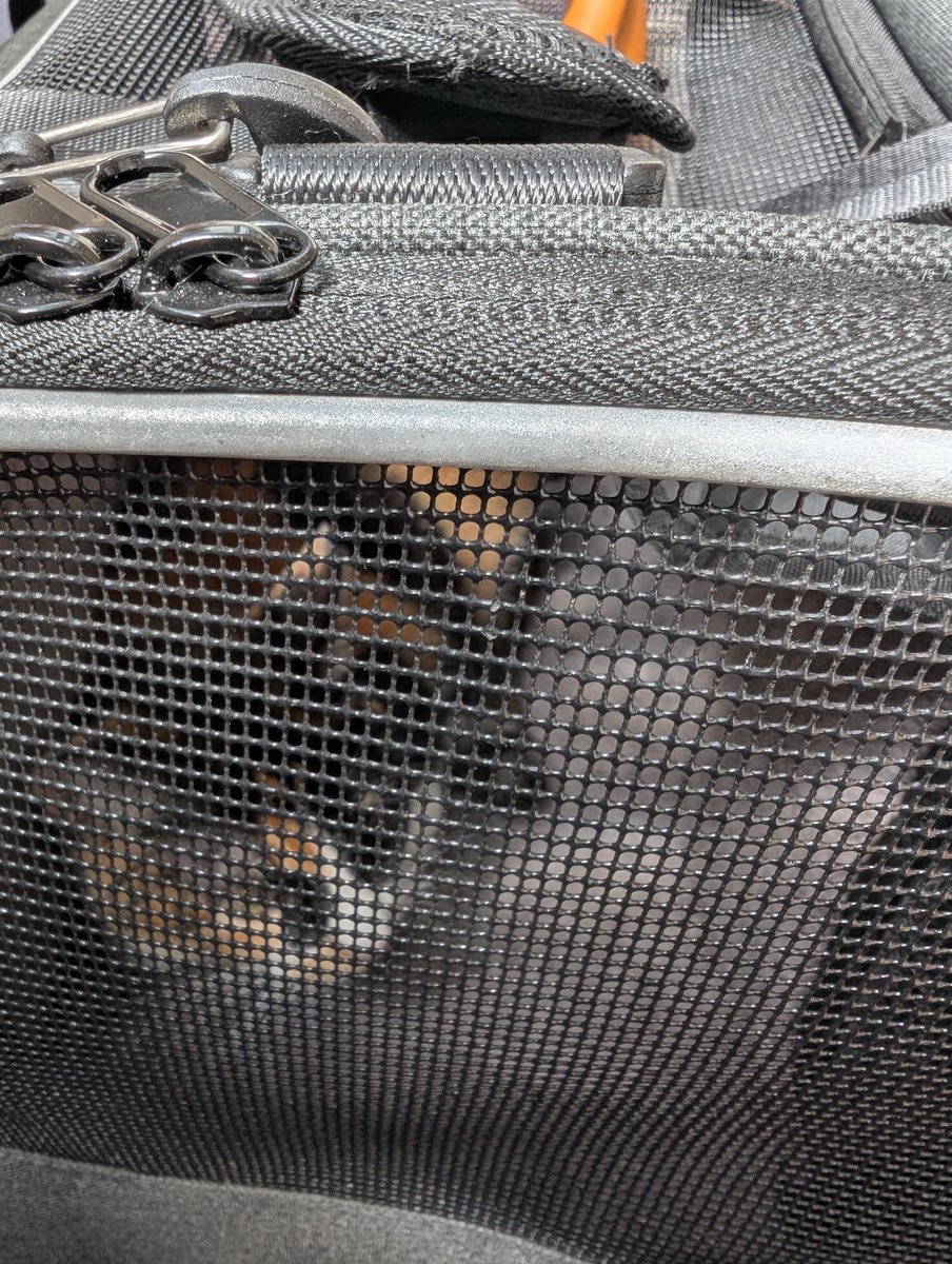 Niko様が12:05をお知らせします