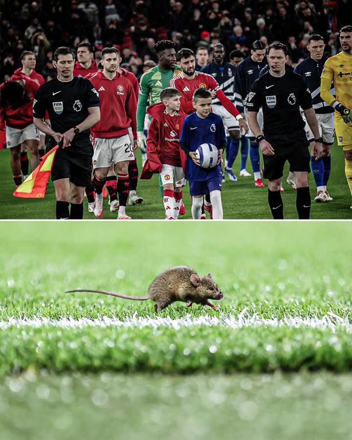 HS2_QRK5_s9's tweet image. ทิวทัศน์ในสนามที่โอลด์ แทรฟฟอร์ด ก่อนแมนยูฯ ปะทะ อิปสวิช

#ESPNUK