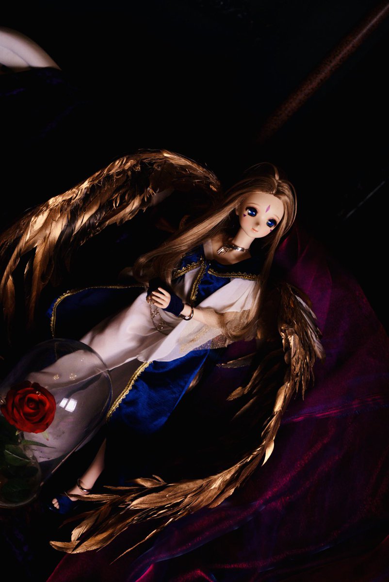 보크스
이리하면 아니된다!!!😭😭😭

제발 만화캐릭터는 
그냥 돌피드림으로
내주세요!!!

슈퍼 돌피 말고요!!!
란마 슈퍼 돌피라니!!

또 의상, 가발 때문에 
인형을 지르란 말이냐!!😭😭😭😭