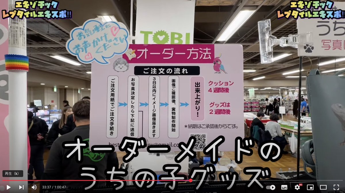 Lilywildrep's tweet image. 先日出店した
EXZOTIC REPTILES EXPO
のYouTubeのムービーでご紹介頂きました❗️
youtube.com/watch?v=QVo5FJ…
突然だったので上手く説明でき
たか分かりませんが、とても嬉しいです❣️
ありがとうございます💓
また宜しくお願いします🙇♀️