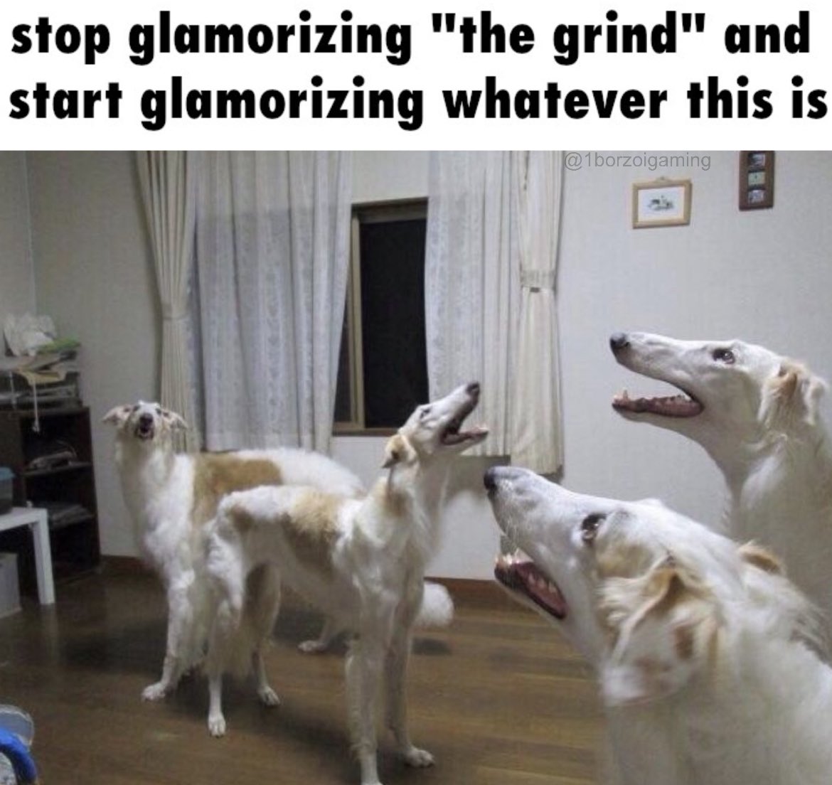 1borzoigaming's tweet photo. #borzoi https://t.co/SjVefMrUq2