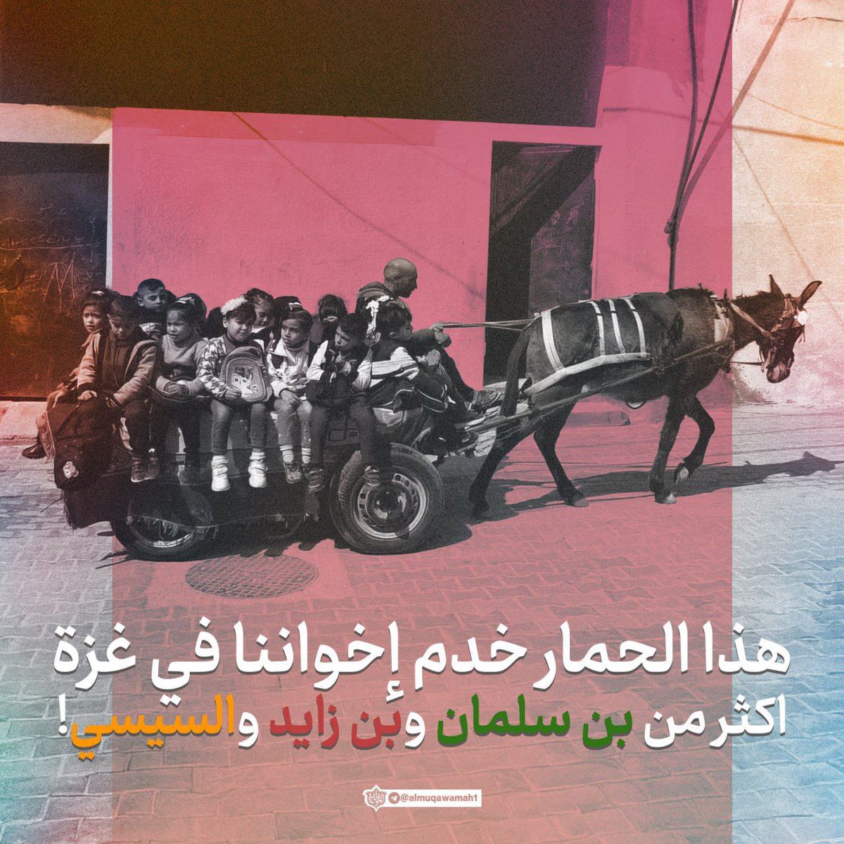 ابوتحياء (@yyyy862464) on Twitter photo 