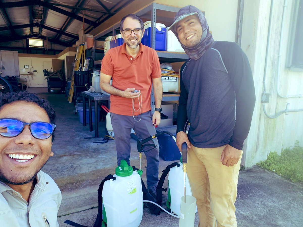 Tropical Plant Clinic & Research Lab (@clinicplant) on Twitter photo Research diversity- in one day: we planted #avocado #aguacate #palta survivors from our #laurelwilt germplasm screening in the field; troubleshoot #diagnostic #LAMP assay; collected potential scab on mamey, and calibrated spray equipment for the upcoming #fungicide <a href="/IR4_Project/">The IR-4 Project</a> Research diversity- in one day: we planted #avocado #aguacate #palta survivors from our #laurelwilt germplasm screening in the field; troubleshoot #diagnostic #LAMP assay; collected potential scab on mamey, and calibrated spray equipment for the upcoming #fungicide <a href="/IR4_Project/">The IR-4 Project</a>