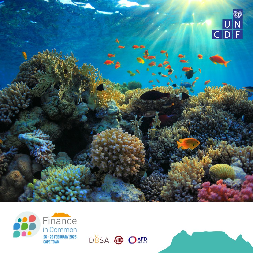 UNCDF (@uncdf) on Twitter photo At #FiCS2025, <a href="/GlobalFundCoral/">Global Fund for Coral Reefs</a> , co-led by <a href="/UNCDF/">UNCDF</a> , <a href="/UNDP/">UN Development</a> & <a href="/UNEP/">UN Environment Programme</a> , will showcase how #BlendedFinance unlocks capital for large-scale reef conservation, mitigating risks and creating favorable market conditions #forcoral investments. At #FiCS2025, <a href="/GlobalFundCoral/">Global Fund for Coral Reefs</a> , co-led by <a href="/UNCDF/">UNCDF</a> , <a href="/UNDP/">UN Development</a> & <a href="/UNEP/">UN Environment Programme</a> , will showcase how #BlendedFinance unlocks capital for large-scale reef conservation, mitigating risks and creating favorable market conditions #forcoral investments.