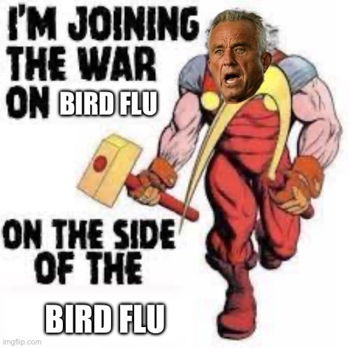 OrganizerMemes's tweet image. 