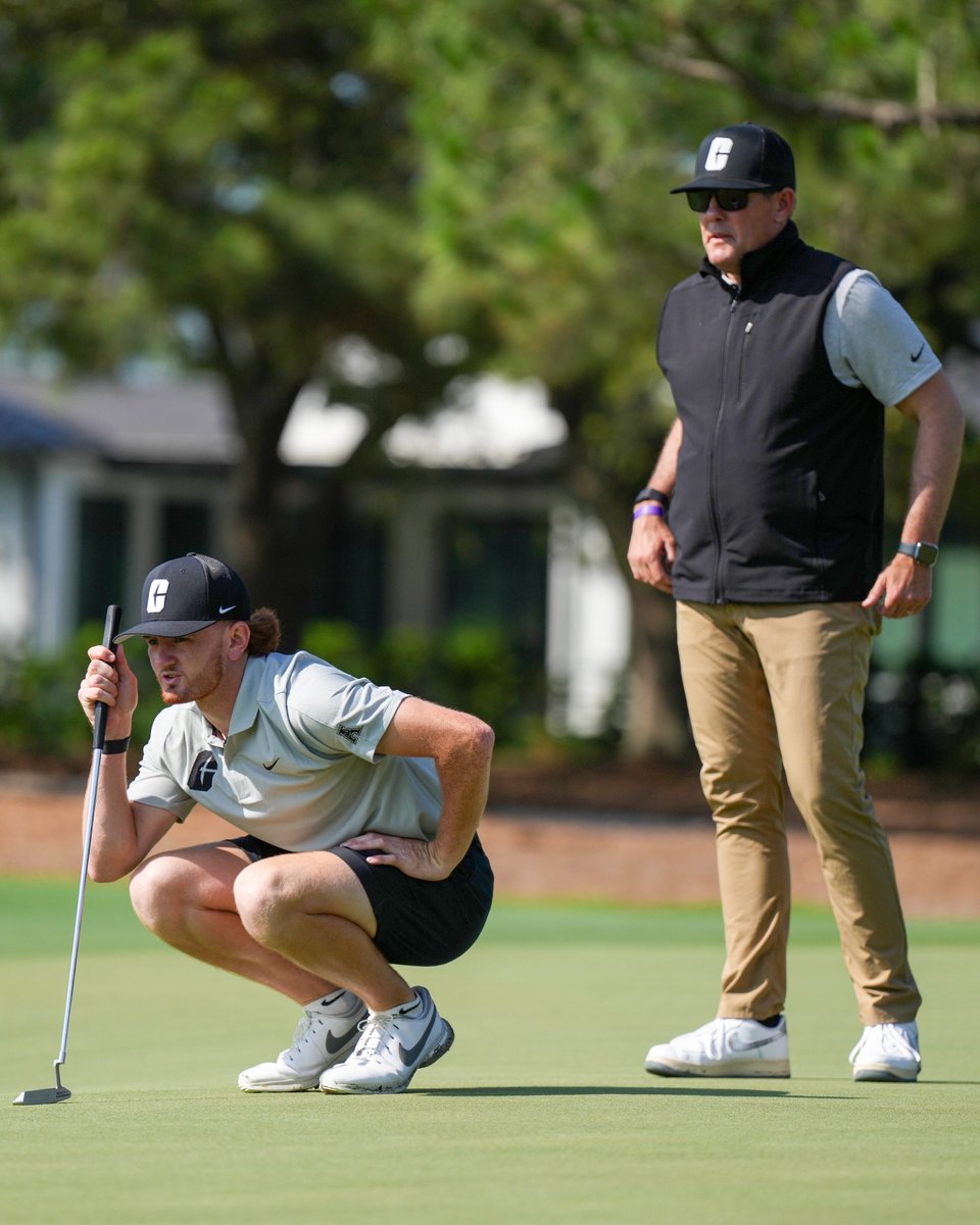 Charlotte Men's Golf tweet media
