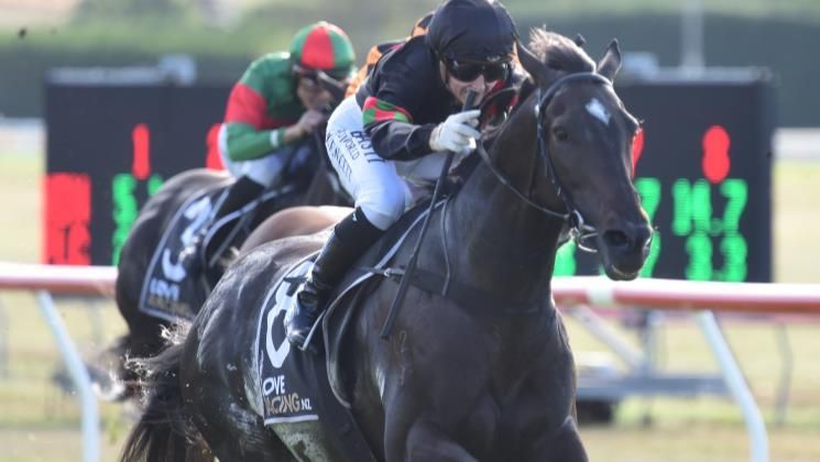“I’m over the moon about that, he’s won very impressively."

<a href="/RRacingStables/">RICHARDSON RACING</a> was rapt to see his talented galloper Channel Surfer back in the winner's circle at Taupo on Wednesday. 

📖 Read more: buff.ly/3CZB9sS