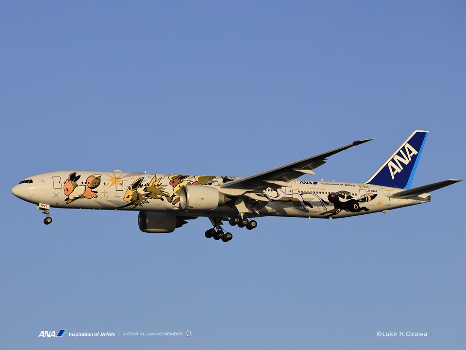 ANA国際線 機内販売限定 ピカチュウジェット＆イーブイジェット ANA【公式】 on X: 
