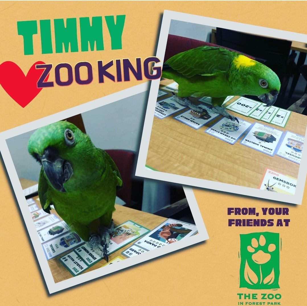 Timmy at the <a href="/ForestParkZoo/">Zoo in Forest Park</a> loves playing Zoo King. And so will YOU!