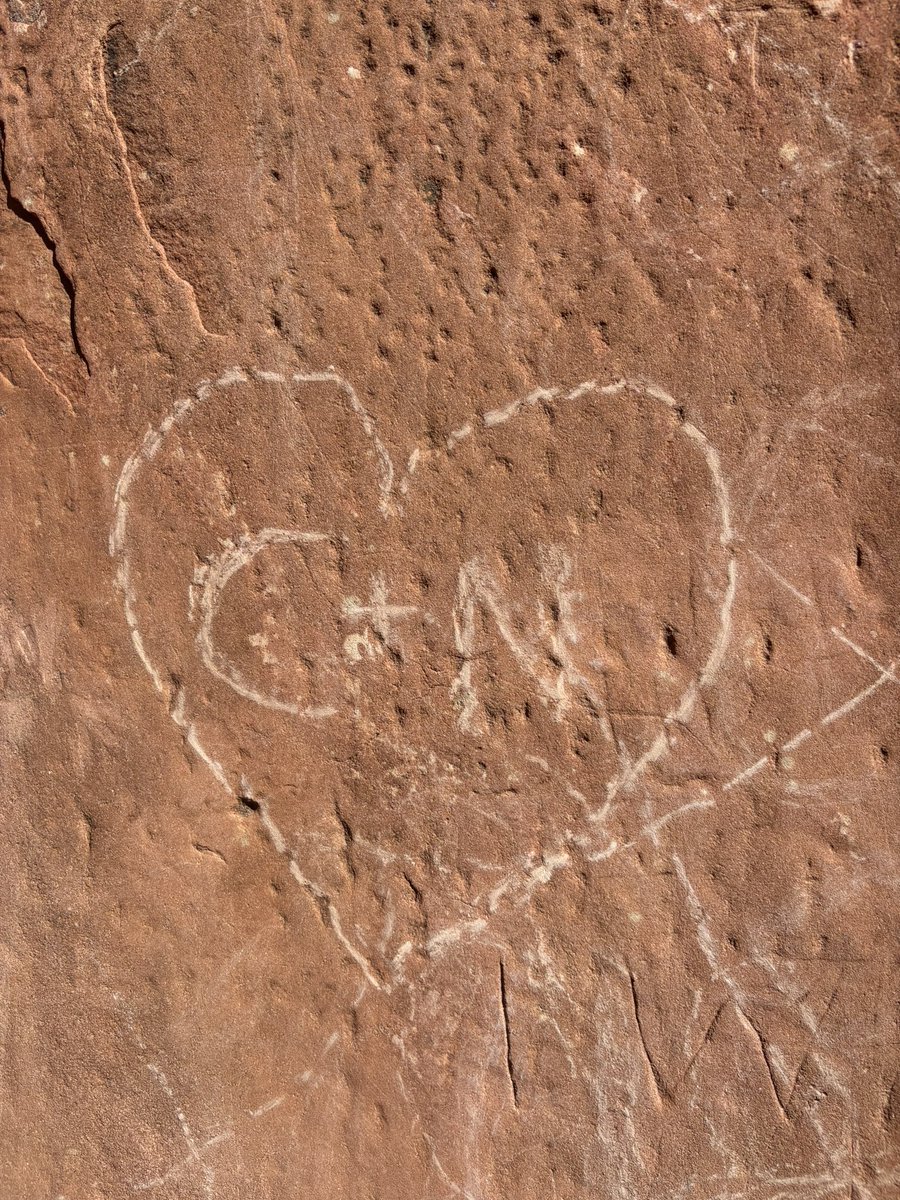 pixiecourt's tweet image. great bday weekend 🖤