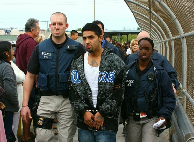 Elephant Signal 🐘🇺🇸 tweet media