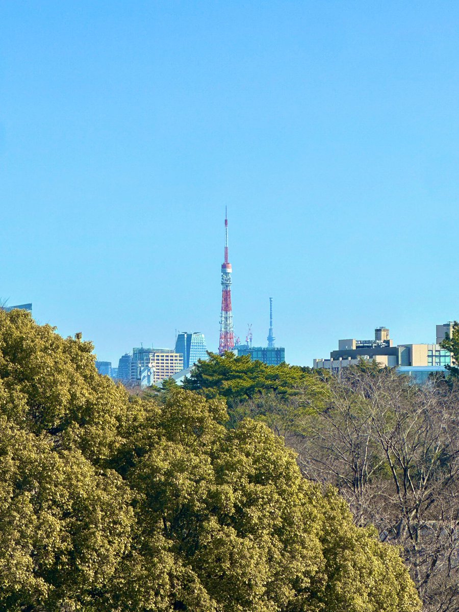 良い天気だ☀️
今日も頑張ろう🔥