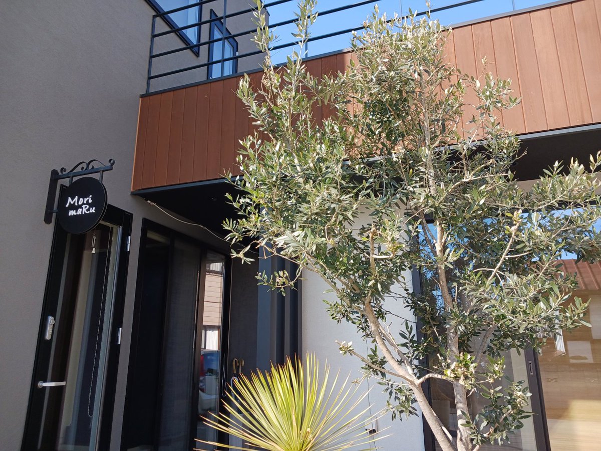 morimaruA's tweet image. おはようございます(*^^*)
梅の開花時期は例年に比べ遅いようです。
この周辺は箕郷町・榛名町・安中市の梅林が有名なのでしょうか。
春の訪れを求めて、出掛けてみたいですね！ 

本日は、ご来店・訪問等のご予約を頂いております。 いつもありがとうございます。

本日も一日宜しくお願い致します。