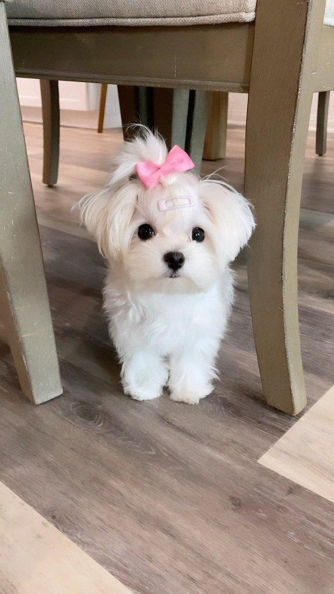 Cute