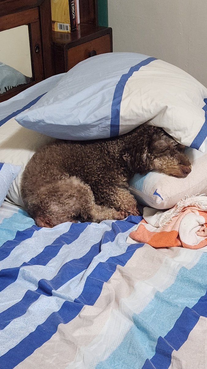 Elaine Gonzales Enriquez tweet media