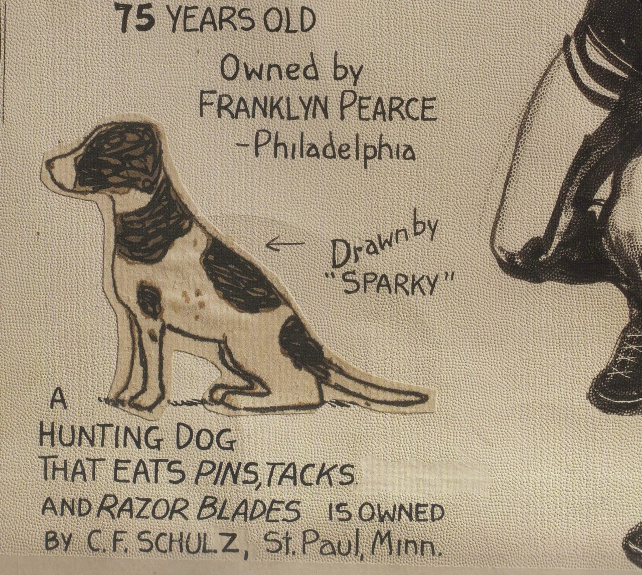 El famoso caricaturista Charles Schulz, creador de Peanuts, envió un dibujo cuando tenia 15 anos a Ripley y este lo publico, el dibujo versaba acerca de su perro Spike, que comía cosas inusuales, como alfileres y tachuelas. 