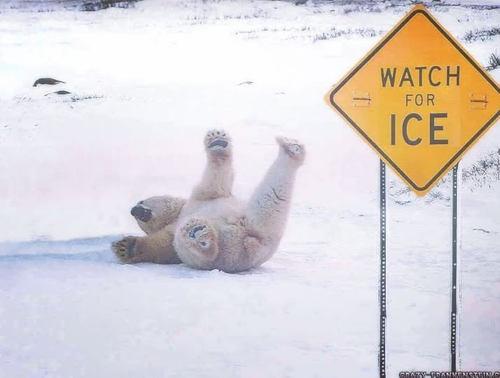 jamonhawthorne's tweet photo. Jam is CLOSED today (Friday, Feb 14) due to ice. Be careful out there! Also, if you were planning on taking your sweetie out for a Valentine’s Day brunch today, maybe give them a gift card instead! See the link in our bio to make that happen. https://t.co/IjrRLRy1mh