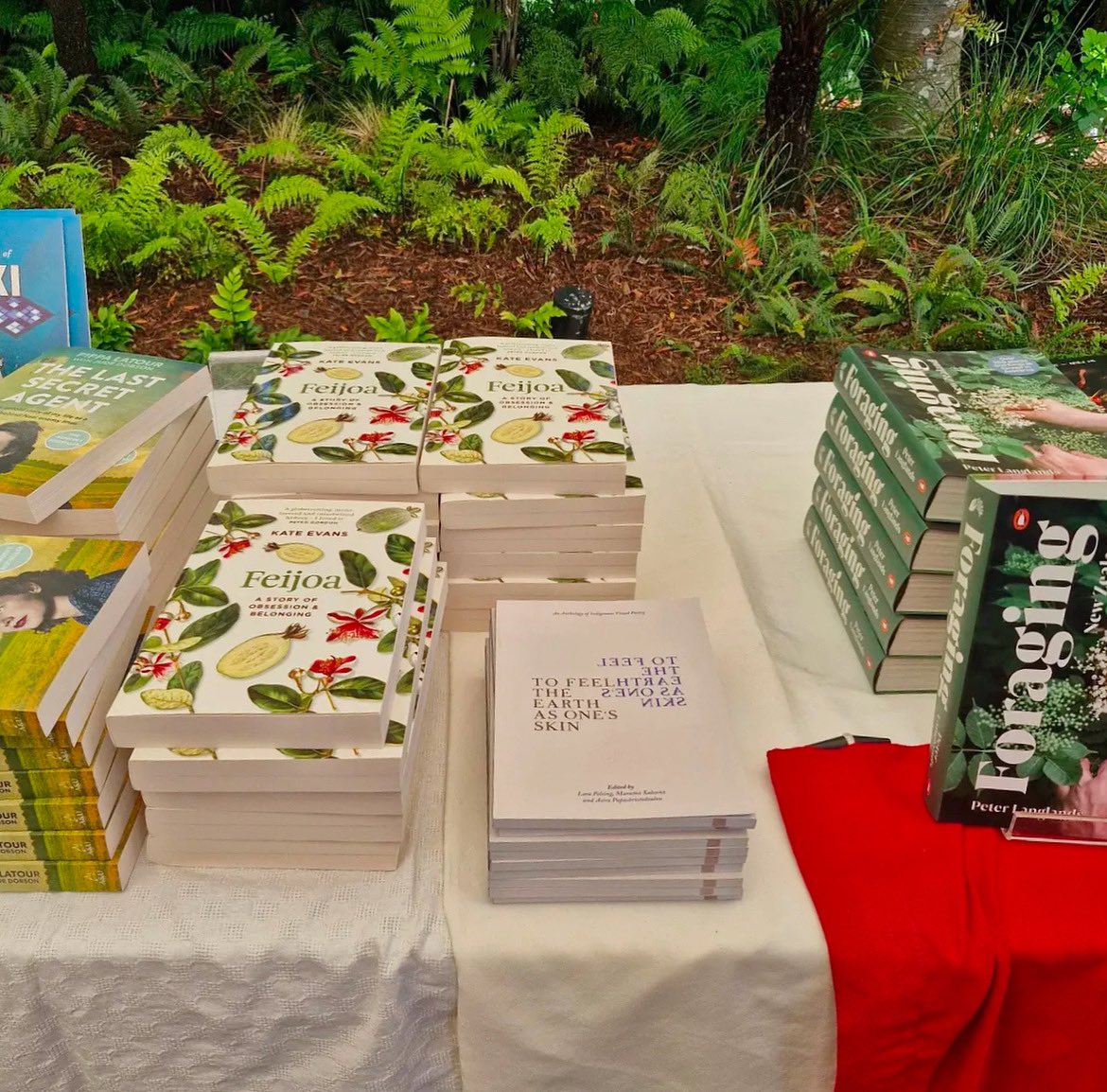 You can buy copies of our lovely anthology ‘To Feel the Earth as One’s Skin’ from the Poppies Bookshop in Hamilton, New Zealand!