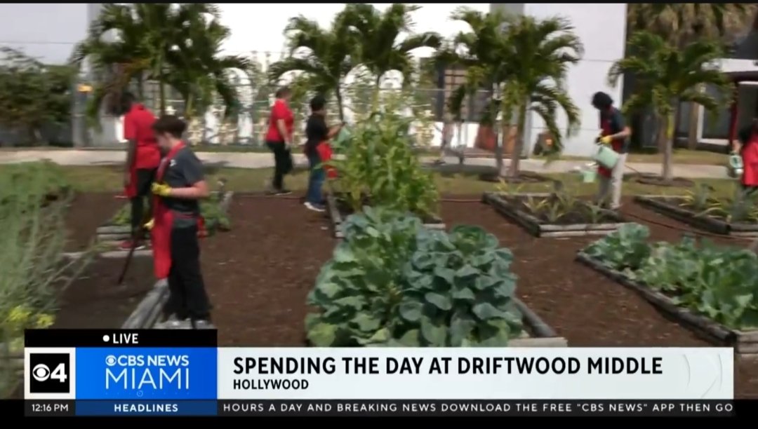 Thank you <a href="/CBSMiami/">CBS Miami</a> and meteorologist <a href="/KCShermanWx/">KC Sherman</a> for this great piece on Driftwood Middle School. The school was awarded the top School of Excellence for their magnet program themed "health and wellness." - Choose the Best, Choose BCPS.
Watch here: bit.ly/4gXM6sH .