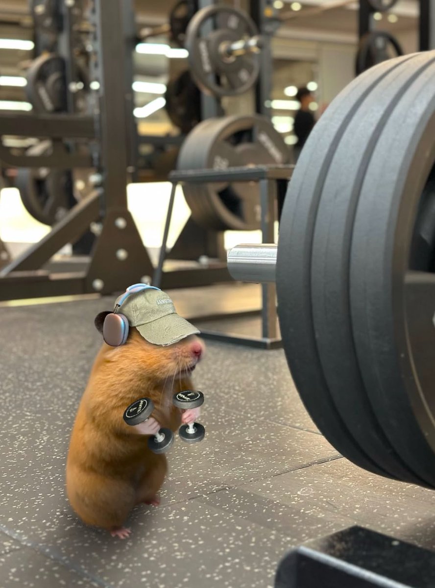 💖 (@twaniimals) on Twitter photo 