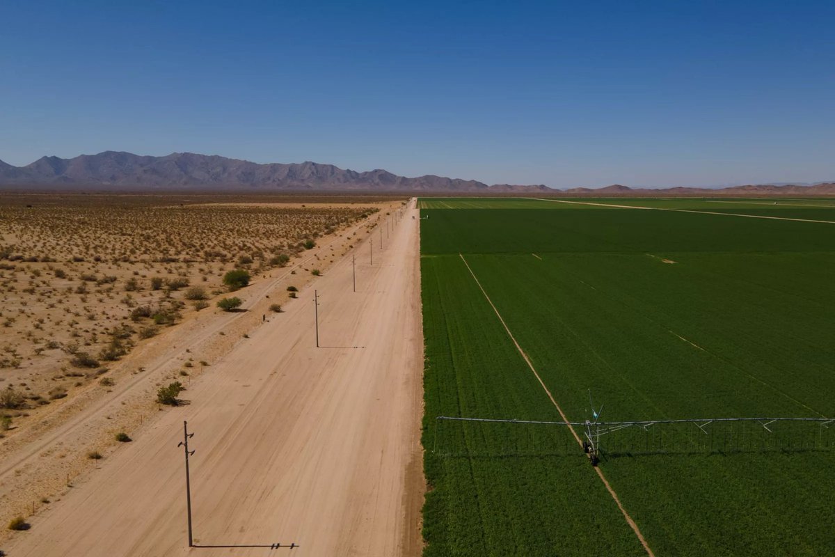 JDSiteman's tweet photo. Farming in dry regions guzzles water-125,000 gallons just for a ton of alfalfa! Meanwhile aquifers are running dry. So how do we feed the world without draining it? @IntravisionGP is tackling this with #GravityFlow™, growing crops with 95% less water. Let’s rethink how we grow! https://t.co/UfmGzUiMkH