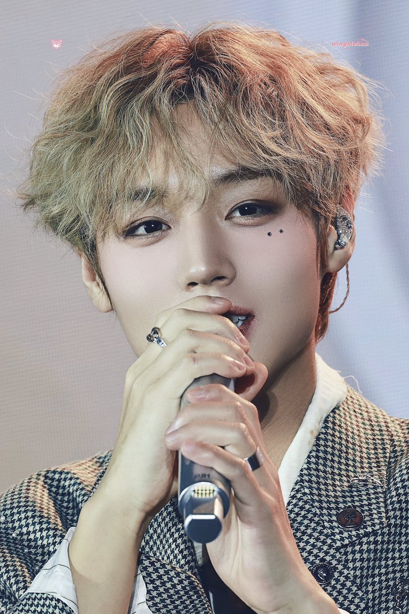 윙비츄 tweet media