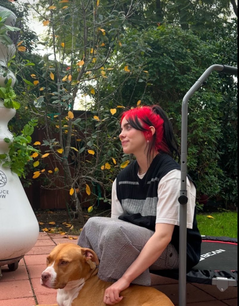 ifitriedtoleave's tweet photo. the billie breakdown that both of these photos have caused me needs to be studied actually. https://t.co/lSZmVNgULl