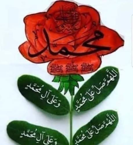 نوره tweet media