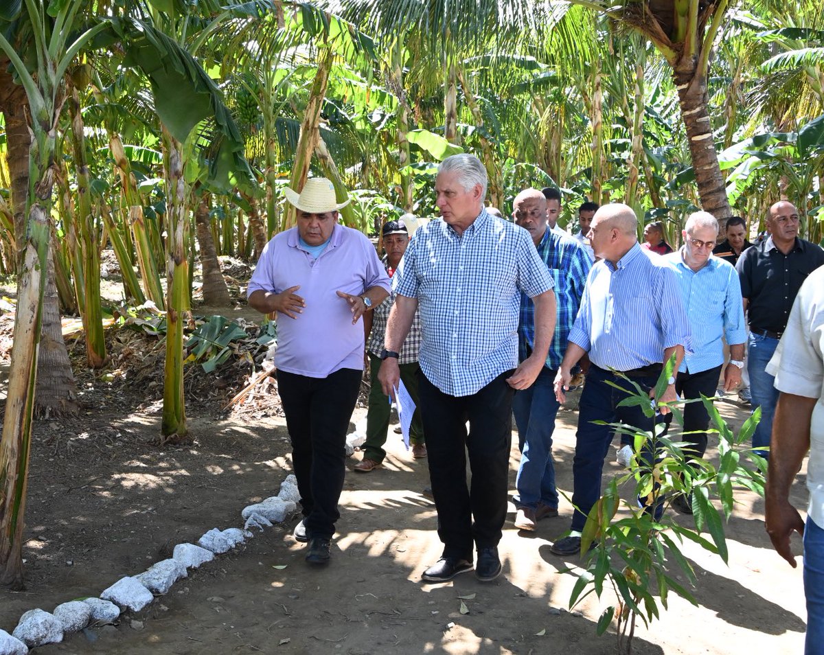 Miguel Díaz-Canel Bermúdez tweet media