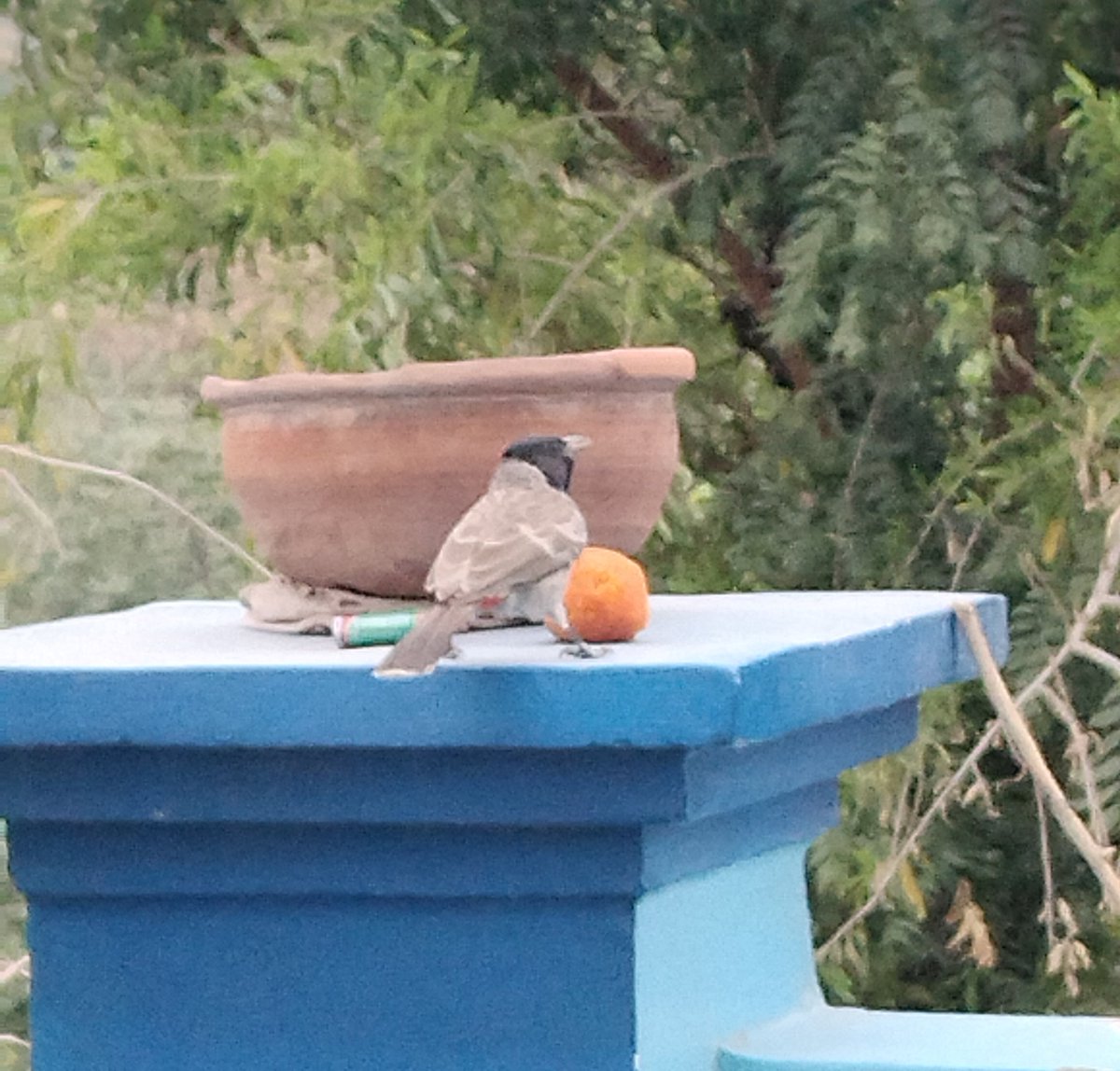 सुप्रभात 🌅 🌹 🙏 
सोचा कुछ, किया कुछ, हुआ कुछ,
मिला कुछ, यही जीवन है।🌹🌹🙏