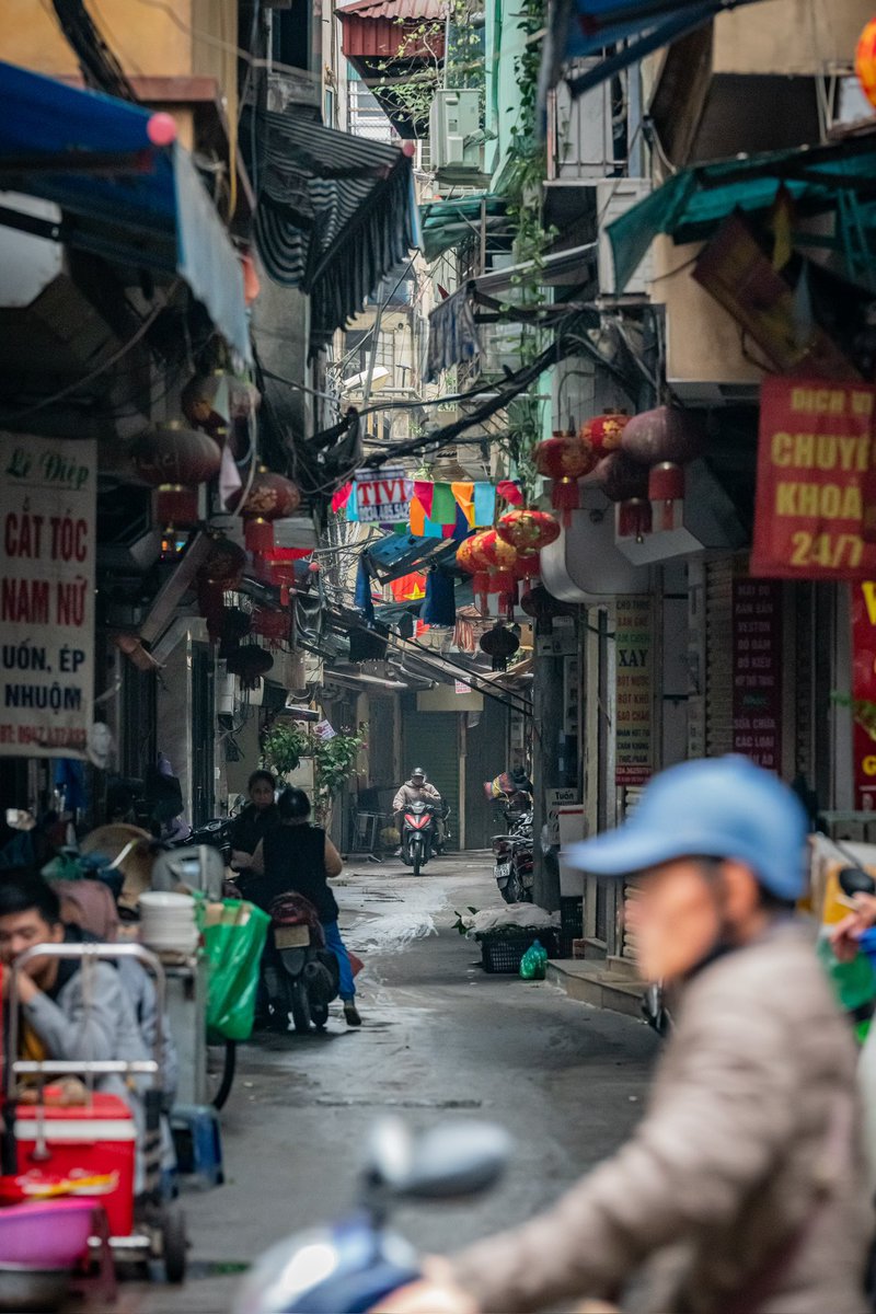 Meandering Max tweet media