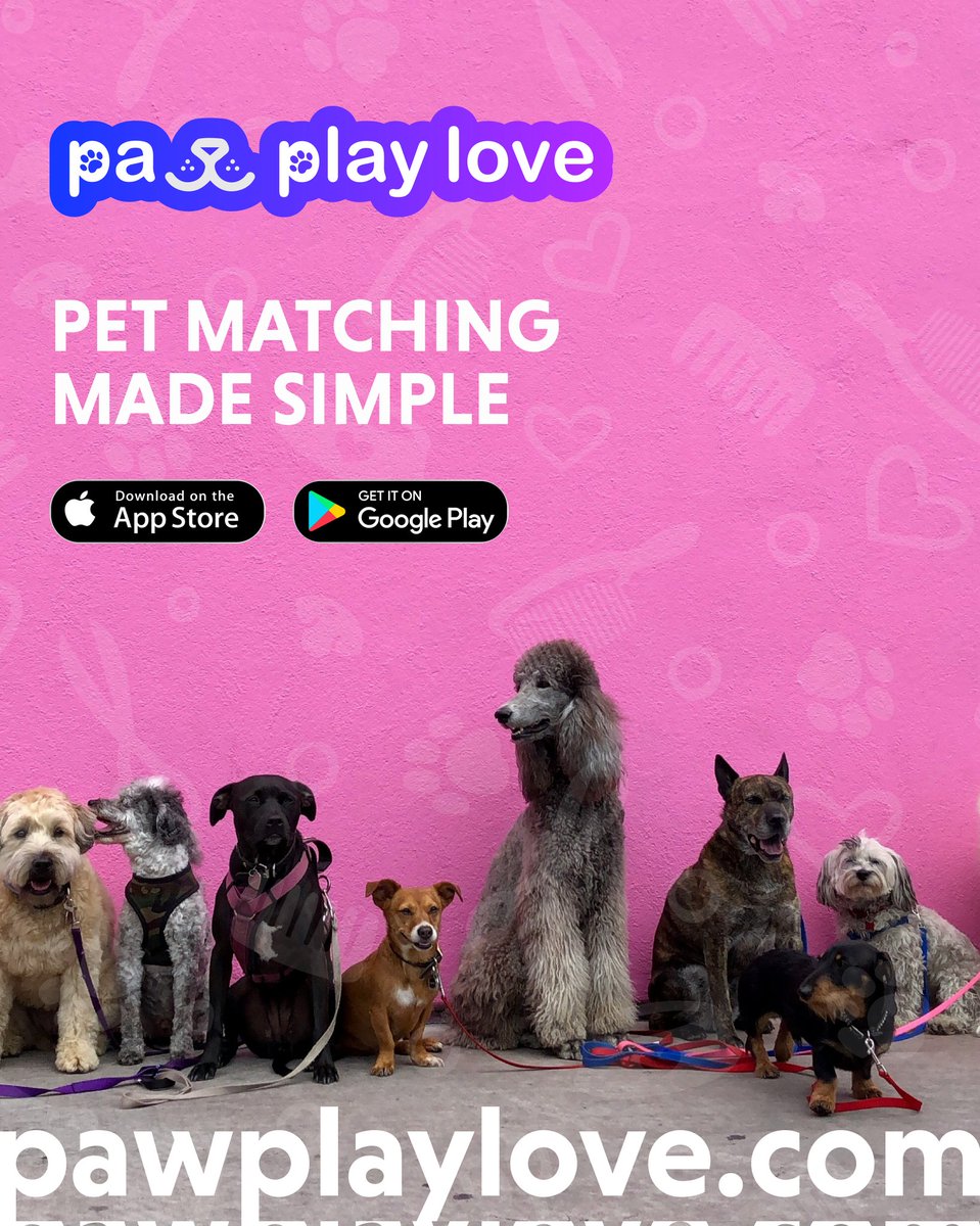 🐾 Bringing pets and people together, one playdate at a time! 🐶🐱💖 Paw Play Love is more than just a pet dating app—it’s a community where furry friends meet, play, and build lifelong bonds.

Whether it’s a fun park hangout or a new best friend for your pup or kitty, every