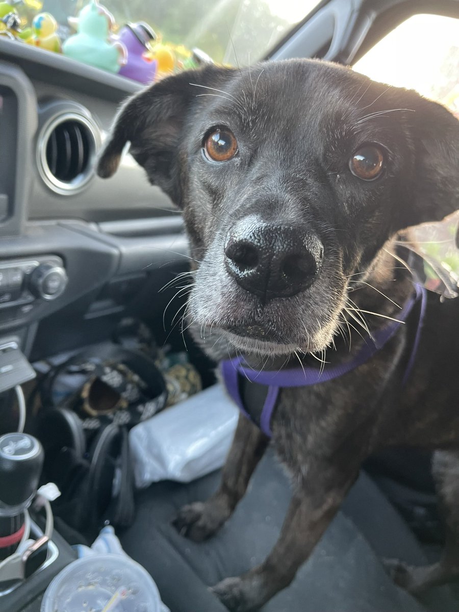 🐾Fur Kidz Adventurez🐾 tweet media