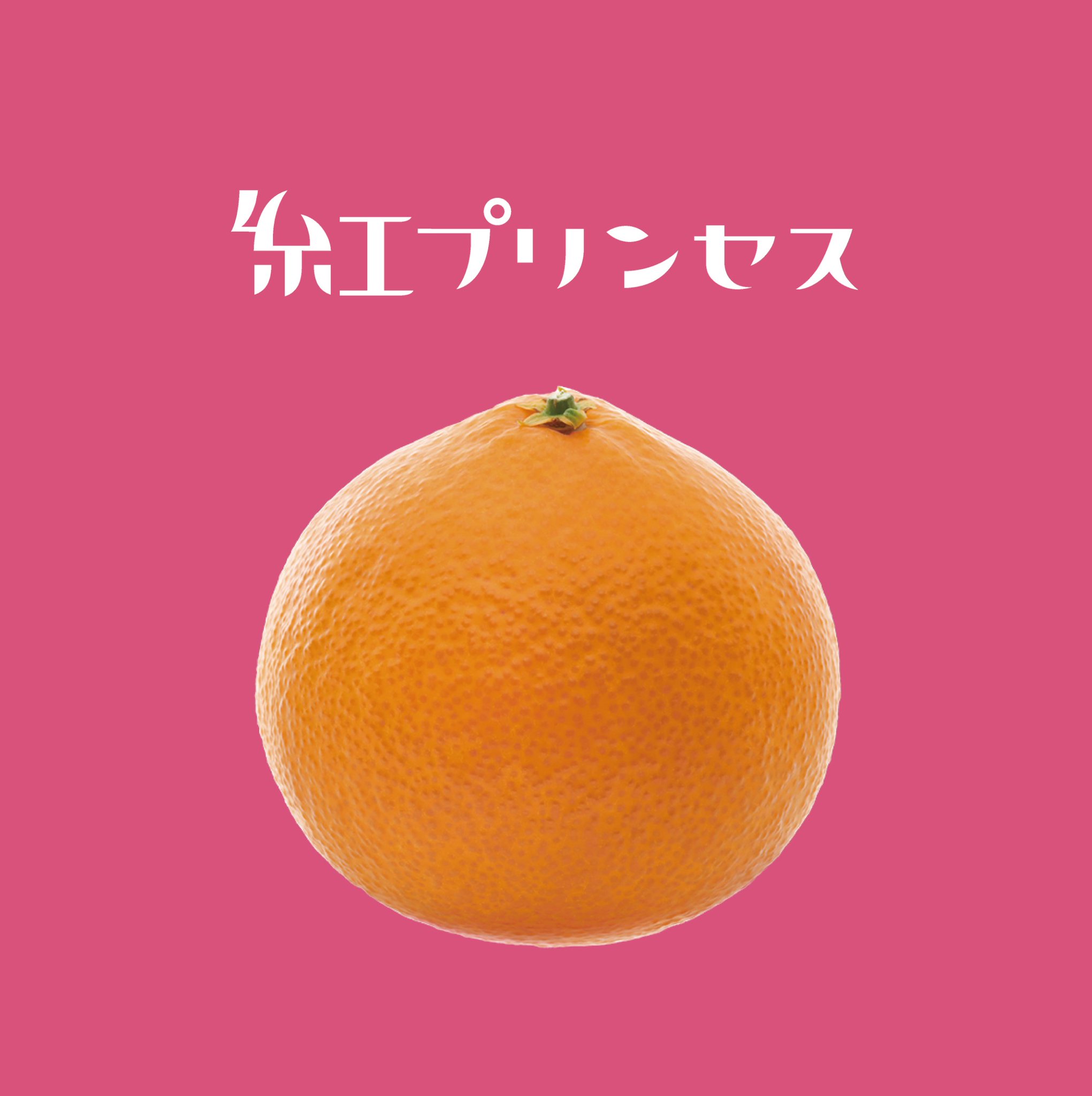 まじめなえひめ研究所 on X: 
