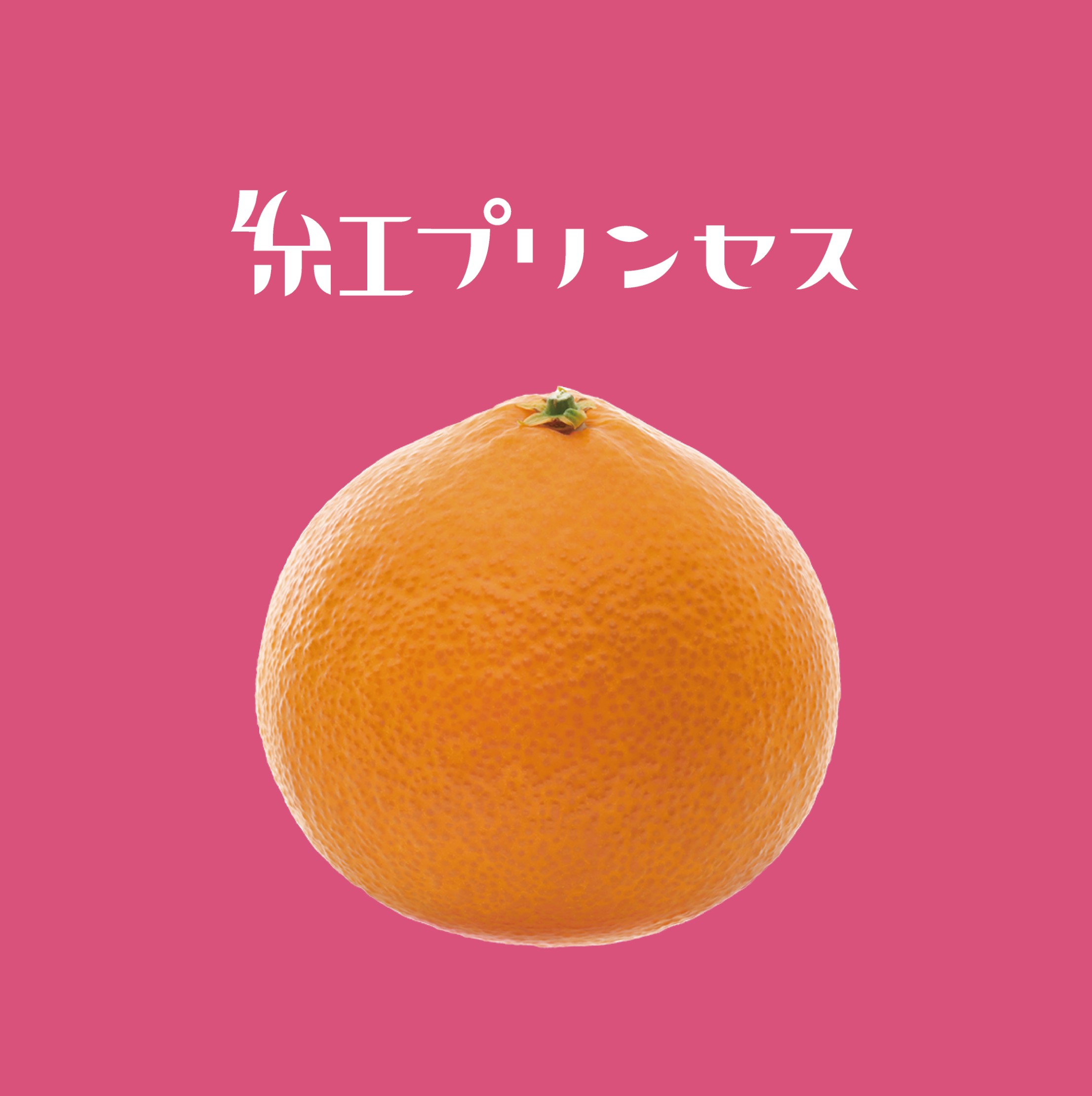 [７月初旬発送]まみりんページ マンジョウ 米麹本みりん 1.8L | SocToc (ソックトック
