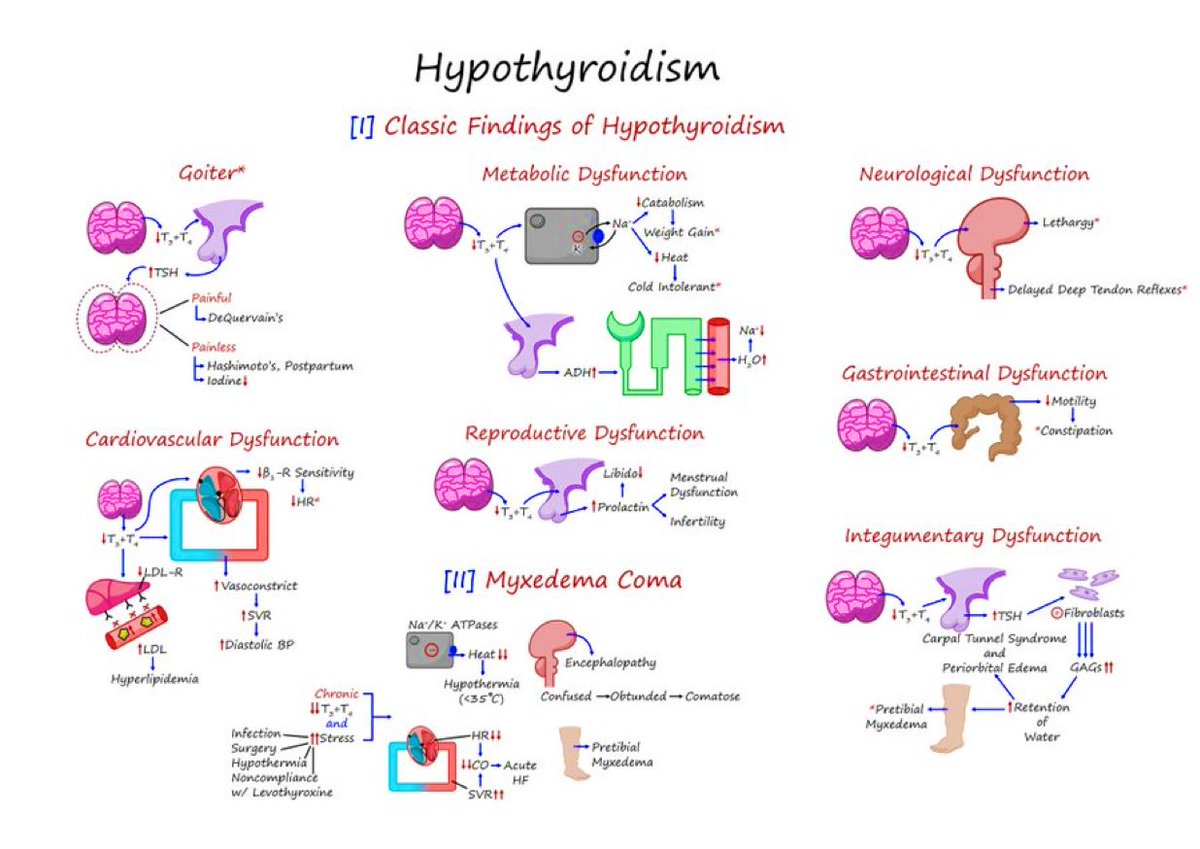 DrPharmDMDTh's tweet image. Hypothyroidism