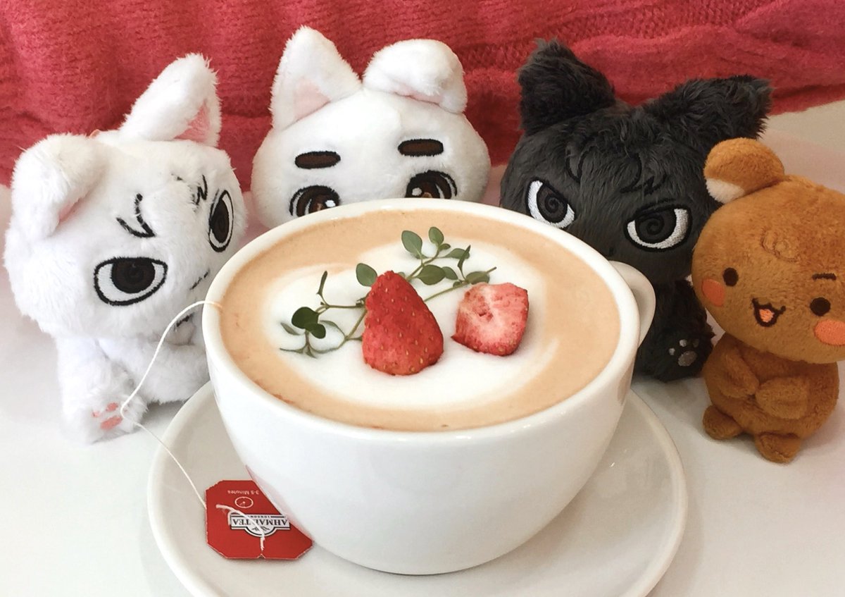 삐넥도 (@fishwacat) on Twitter photo 
