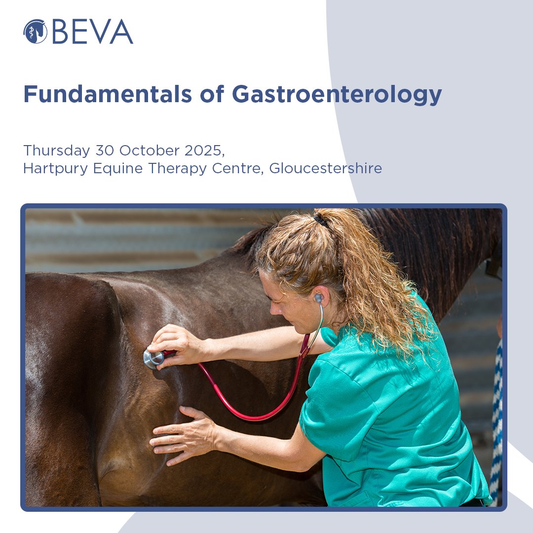 Our Autumn Fundamentals courses are open for bookings! 

👉 Fundamentals of Equine Acute Trauma - 2 October
👉 Fundamentals of Internal Medicine - 29 October
👉 Fundamentals of Gastroenterology - 30 October

🔗 bit.ly/410kAF2