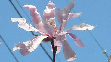 tanosiisupi_bot's tweet photo. All things only stimulate the richness within.
If you know this, you are free from attachment.

「万物はただ内側にある豊かさを刺激してくれる」
知っていれば執着知らず。
#InnerPlace #内側
https://t.co/zCBoMd4iku