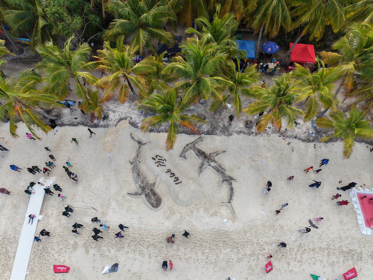 FVMCouncil's tweet photo. މާހިފުން 1446 - ރާއްޖޭގެ އެންމެ ބޮޑު ބީޗް ފެސްޓިވަލް.
#Maahifun1446 #BiggestBeachFestival #Fuvahmulove #SharkIsland #FlyWithASmile #MaldivianHaveereeUfaa #maldivianaero #AaholaRashaha https://t.co/JYPE04xFkx