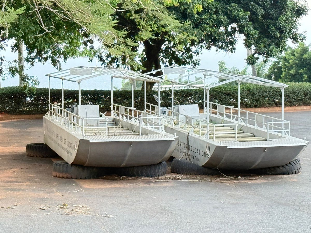 Sihle Mavuso tweet media